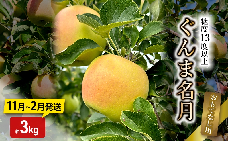 
                  [№5554-0358]りんご【11月～2月発送】糖度13度以上 ぐんま名月 おもてなし用 家庭用 約3kg【青森りんご】
                