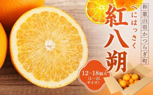 先行予約！希少な紅はっさく 12～18個入り（L～2Lサイズ）［2026年1月中旬頃から発送］［KG9］