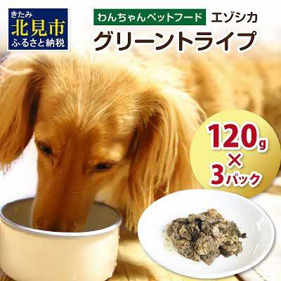 ふるさと納税 北見市 エゾシカ　グリーントライプ120g×3パック【わんちゃんペットフード】