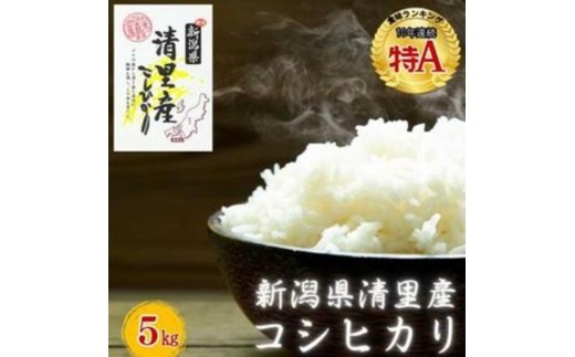 
                  令和8年（新米） 新潟県 清里産コシヒカリ 5kg 5キロ 真空パックこしひかり精米 上越市 グリーンファーム清里
                