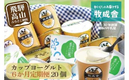 【定期便６か月】飛騨のカップヨーグルト20個セット 毎月1回お届け 乳製品 ヨーグルト2種類 DF109