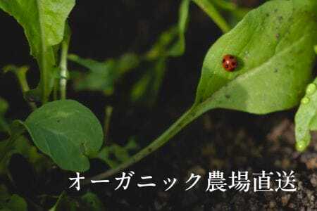 【毎月定期便】しあわせ野菜畑の有機野菜　Mセット（安心の有機JAS認証　旬のオーガニック野菜　農場直送便）全3回　6715