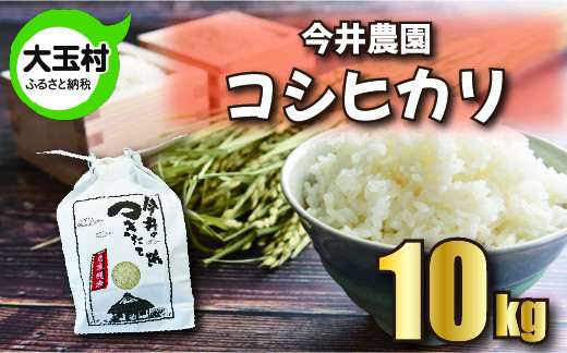 
米 10kg コシヒカリ 【 先行予約 】 令和6年産 ・ 新米 【 今井のつきたて米 】 こしひかり 福島県 大玉村 精米 今井農園 ｜ OT08-003-R6
