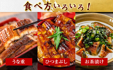 うなぎ 大型サイズ 国産うなぎ蒲焼き 2尾