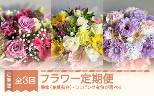 
                  全3回フラワー定期便 春夏秋冬コース選べる ip-ftxxx
                