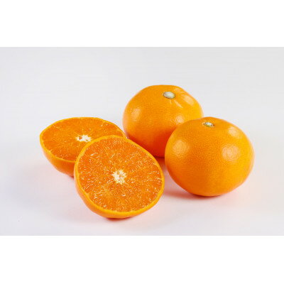 【ふるさと納税】せとか3kg(秀品)【D21-53】【1678734】