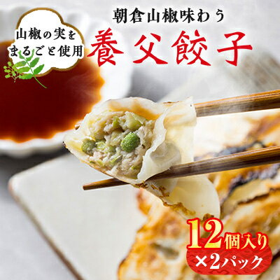 【ふるさと納税】【山椒の実入り】朝倉山椒味わう養父餃子(要冷凍/12個入り)×2パック【配送不可地域：離島】【1471845】