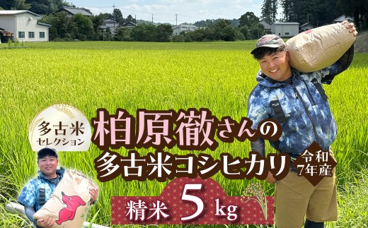 多古米セレクション　柏原徹さんの多古米コシヒカリ　精米5kg　令和7年産 TAKF061