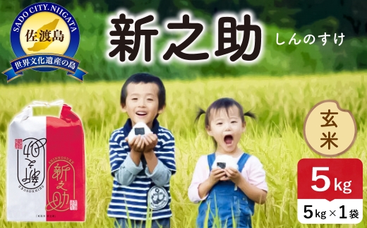 令和8年産 佐渡島産 新之助 玄米5kg | 新潟県産新之助 新潟産新之助 佐渡産新之助 新之助 お米 米 玄米 おこめ コメ 5キロ にいがた さど 新潟県 佐渡市