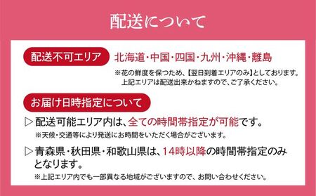 バラ 【配送エリア限定・着日指定必須】 生産農家直送 バラ花束 新鮮 約100本