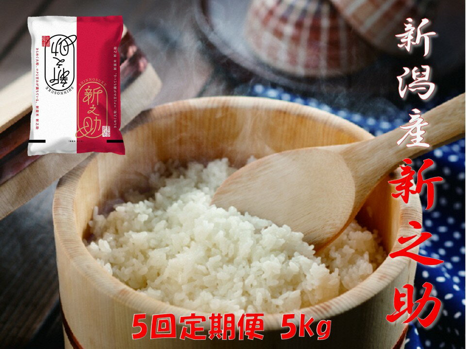 【ふるさと納税】【令和7年産】 ≪5か月定期便≫ 農家直送 新潟県阿賀野市産 新之助 5kg (5kg×1袋) ×5回 精米 白米 しんのすけ 新潟産 ブランド米 大粒 香り ツヤ