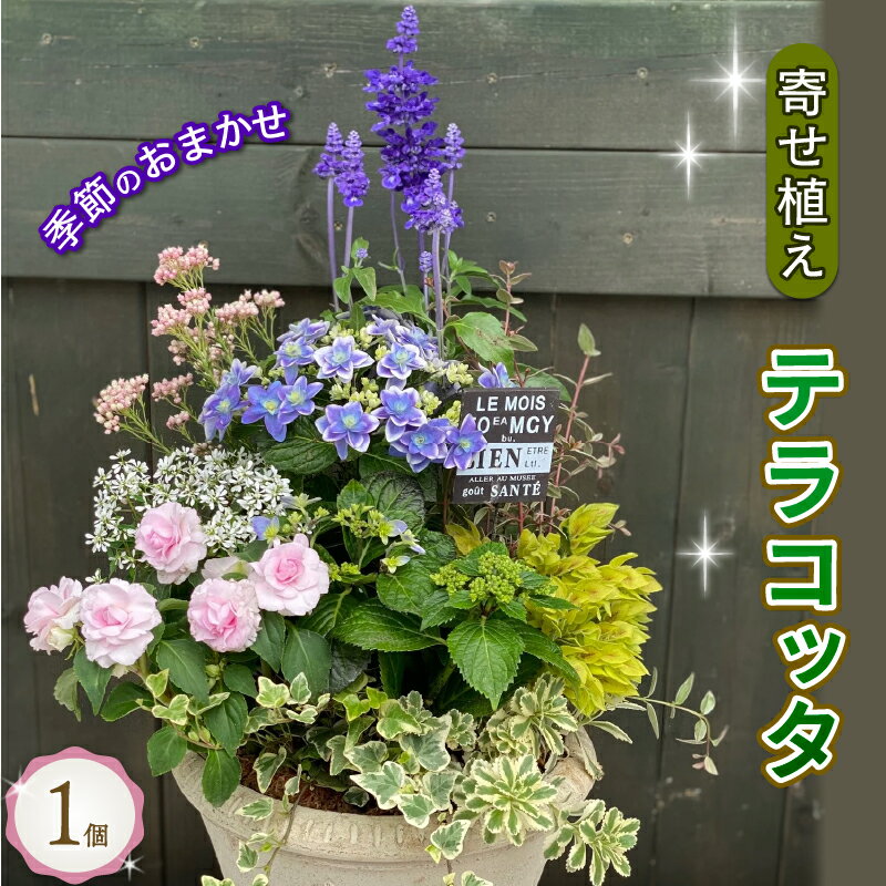【ふるさと納税】 季節のおまかせ テラコッタ 寄せ植え ギフト 花 お花 鉢花 花苗 贈り物 お祝い プレゼント ガーデニング フラワー ギフト