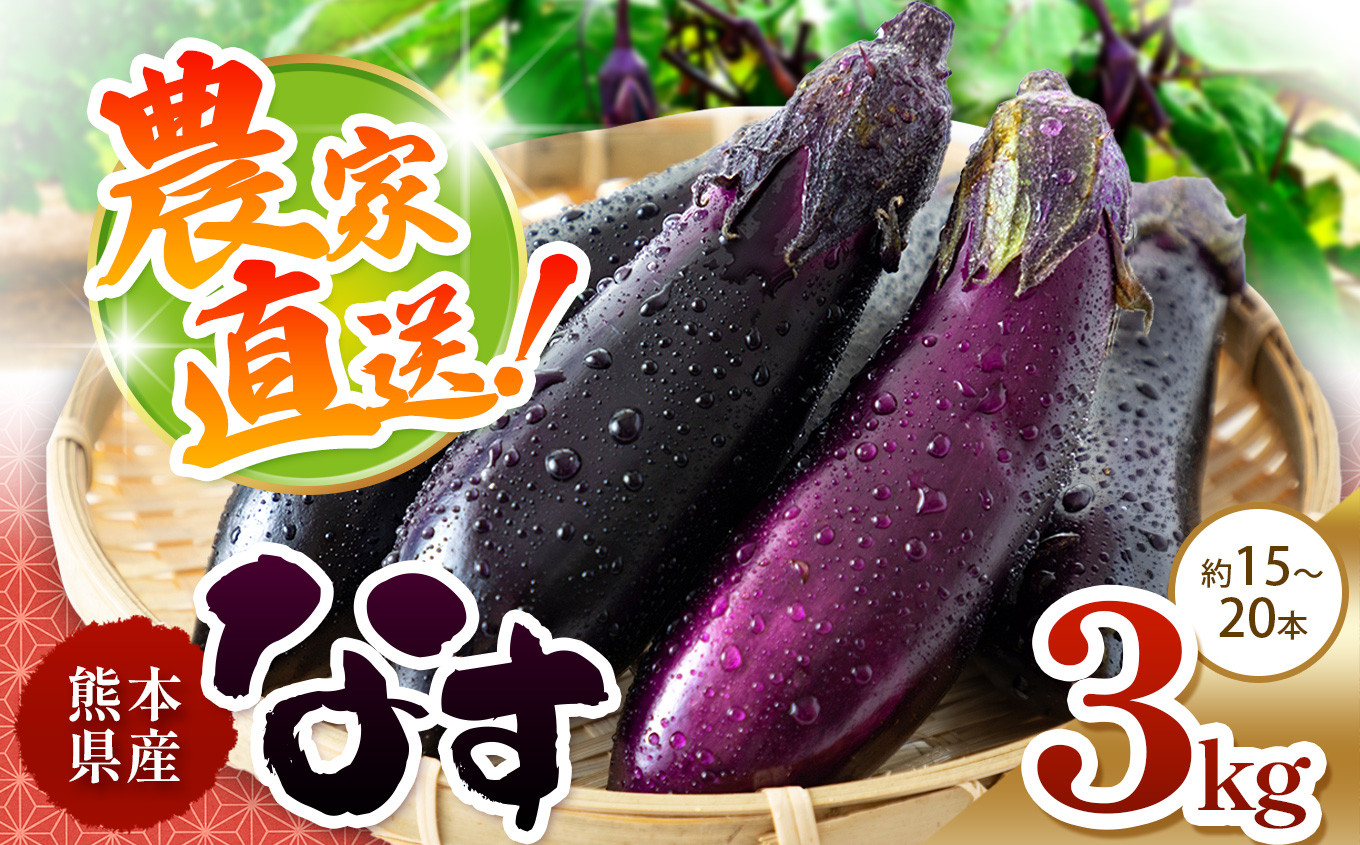 
            なす 約 3kg 和水町産 野菜 5月頃～発送いたします | 熊本県 熊本 くまもと 和水町 なごみまち なごみ なす ナス 茄子 なすび 野菜 季節の野菜 季節限定
          