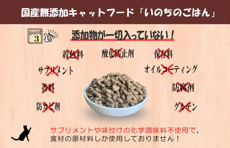 【定期便】国産無添加 キャットフード 500g×全3回「いのちのごはん」タンパク質 66％以上配合タイプ【猫 ねこ ペットフード チキン 手作り ヒューマングレード 国産 毎月配送】 099Z170