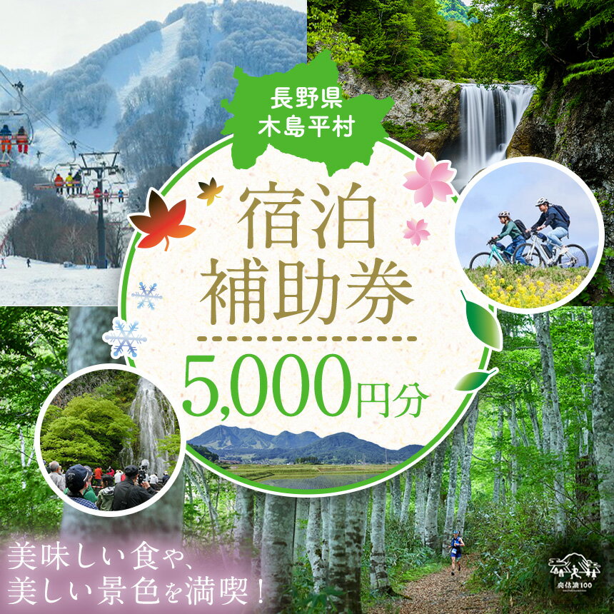 【ふるさと納税】木島平村 宿泊補助券 5000円分 | チケット 金券 旅行 旅行券 ホテル券 宿泊 補助 スキー ペンション 旅館 ホテル 民宿 山荘 木島平村 長野県 信州 北信州