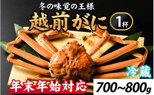 【12月26日受付分まで年内配送】先行予約 冬の王者！茹で越前がに700-800g　１杯【年末年始対応】 [J-065040] /  かに 蟹 ずわい ズワイ 茹でがに【年内発送 年内お届け】