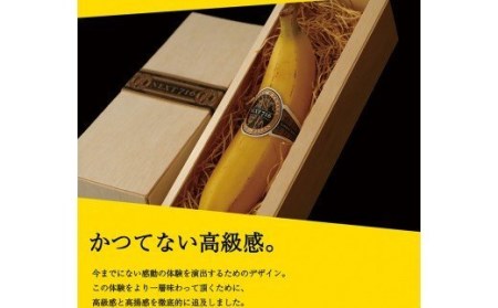 国産バナナNEXT716「6本」レギュラーサイズ【国産 バナナ 無農薬 フルーツ 果物 デザート 朝食 スムージー バナナ】