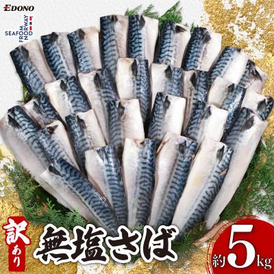 ふるさと納税 銚子市 訳あり　無塩さば　約5kg