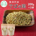 【ふるさと納税】純国産 無添加 信州根羽村産 そばの実 400g (200g×2袋) むき実 スーパーフード ダイエット 健康 △