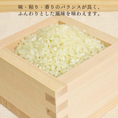 ふるさと納税 糸島市  ヒノヒカリ 5kg 糸島王丸農園(谷口汰一)【いとしまごころ】[AAZ010] |  | 01