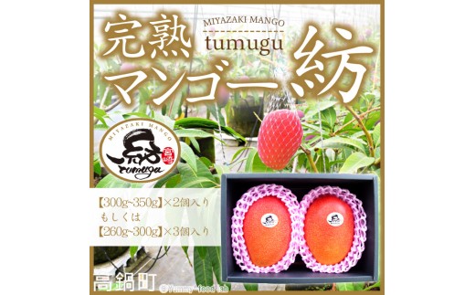 
                  【先行予約】＜宮崎県産 完熟マンゴー｢紡｣（約300g～約350g 2個もしくは約260g～約300g 3個）＞2026年7月中旬～9月中旬迄に順次出荷 果物 フルーツ マンゴー くだもの 特産品 完熟 国産 宮崎県 高鍋町
                