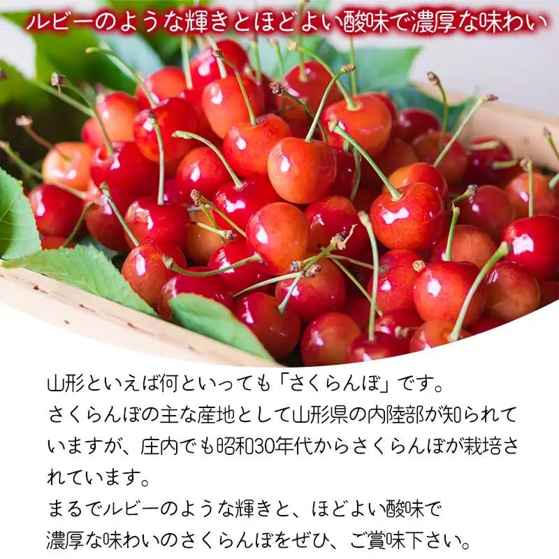 【令和8年産】さくらんぼ 佐藤錦　バラ詰め 1kg　Lサイズ以上　山形県鶴岡市　鶴岡中央青果　| サクランボ チェリー 山形 鶴岡 庄内産  東北 果物 くだもの フルーツ 1キロ  産地直送 甘い 