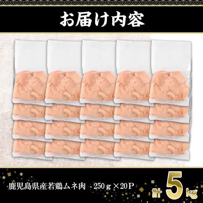 鹿児島県産 若鶏 ムネ肉 (計5kg・250g×20P)  冷凍 【株式会社羽根】A1090