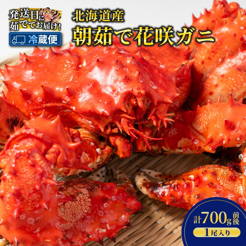【ふるさと納税】［冷蔵便］茹でたて直送！北海道産 朝茹で 花咲ガニ 約700g×1尾【 かに カニ 蟹 花咲ガニ 花咲蟹 海鮮 魚介 海の幸 海産物 家庭用 冷蔵 北海道 十勝 幕別 】