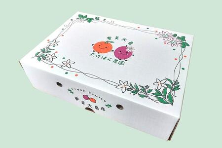 ★品切中★【2024年発送分 先行受付】パッションフルーツ 化粧箱12個入り（L玉）×6箱【たけはら農園】