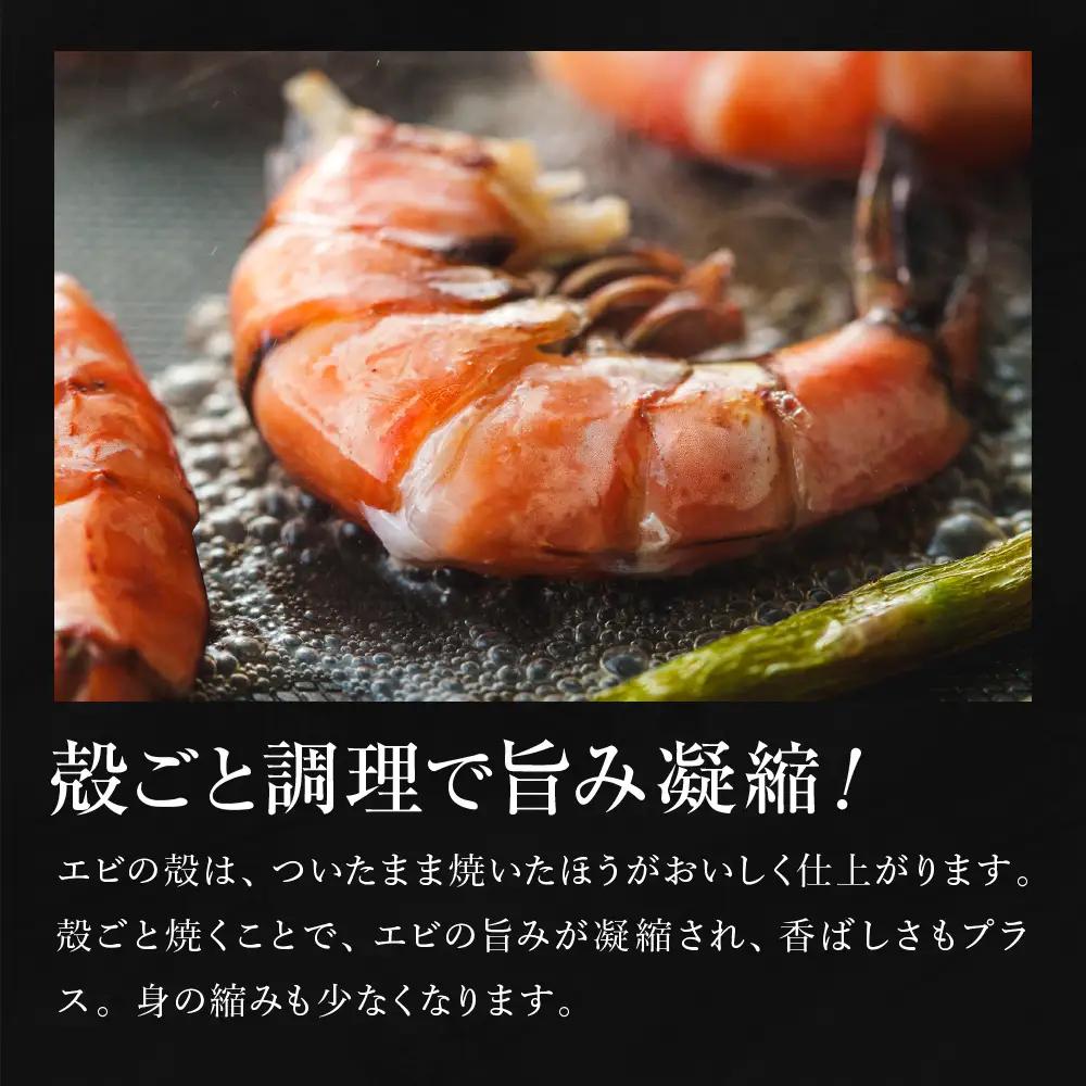 特大 ブラックタイガー 無頭えび 570g前後15尾