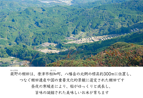 『先行予約』【令和7年産新米】特別栽培棚田米「蕨野」5kg×1袋(合計5kg) 家庭排水が一切入らない自然水で作られたお米 10日に1回精米で新米のような味わい