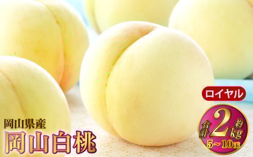 岡山白桃 ロイヤル 5～10玉 約2kg 岡山県産【2025年7月上旬～8月下旬発送予定】 白桃 桃 もも モモ