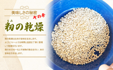 ☆令和7年産☆ コシヒカリ(玄米)　5kg | 米 こしひかり