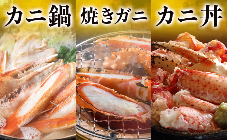 【ふるさと納税】カニ 紅ズワイガニ 3kg(6杯 〜 7 杯) 《9月上旬-5月末頃出荷》 SOO合同会社 鳥取県 八頭町 送料無料  蟹 かに 姿 鍋 ズワイガニ  ズワイ蟹 ボイル ベニズワイ ベ