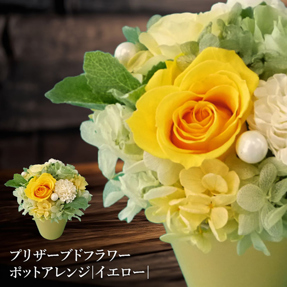プリザーブドフラワー　ポットアレンジ（イエロー）【14001401】