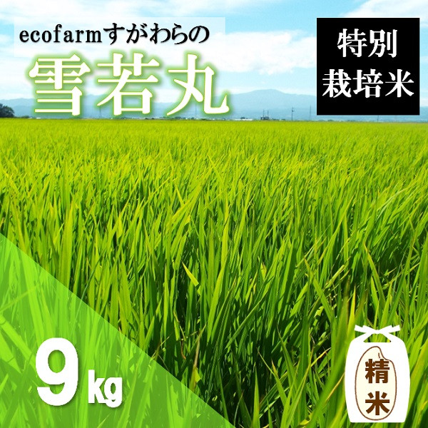 
                  【令和8年産・精米】ecofarmすがわらの特別栽培米雪若丸9kg ※10月上旬頃から順次配送
                