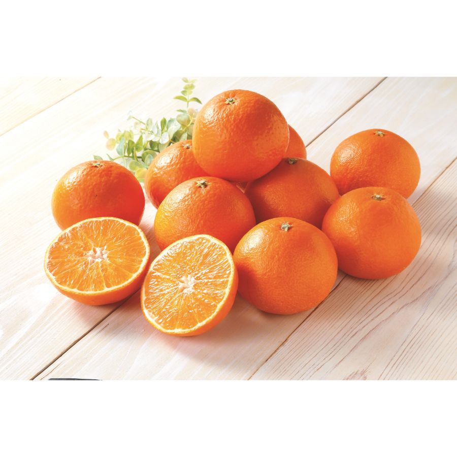 「紅まどんな」5kg（14個～24個）