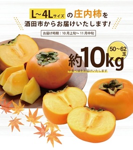 SB0468　庄内柿　約10kg(5kg×2箱) 50～62玉入 L～4Lサイズ