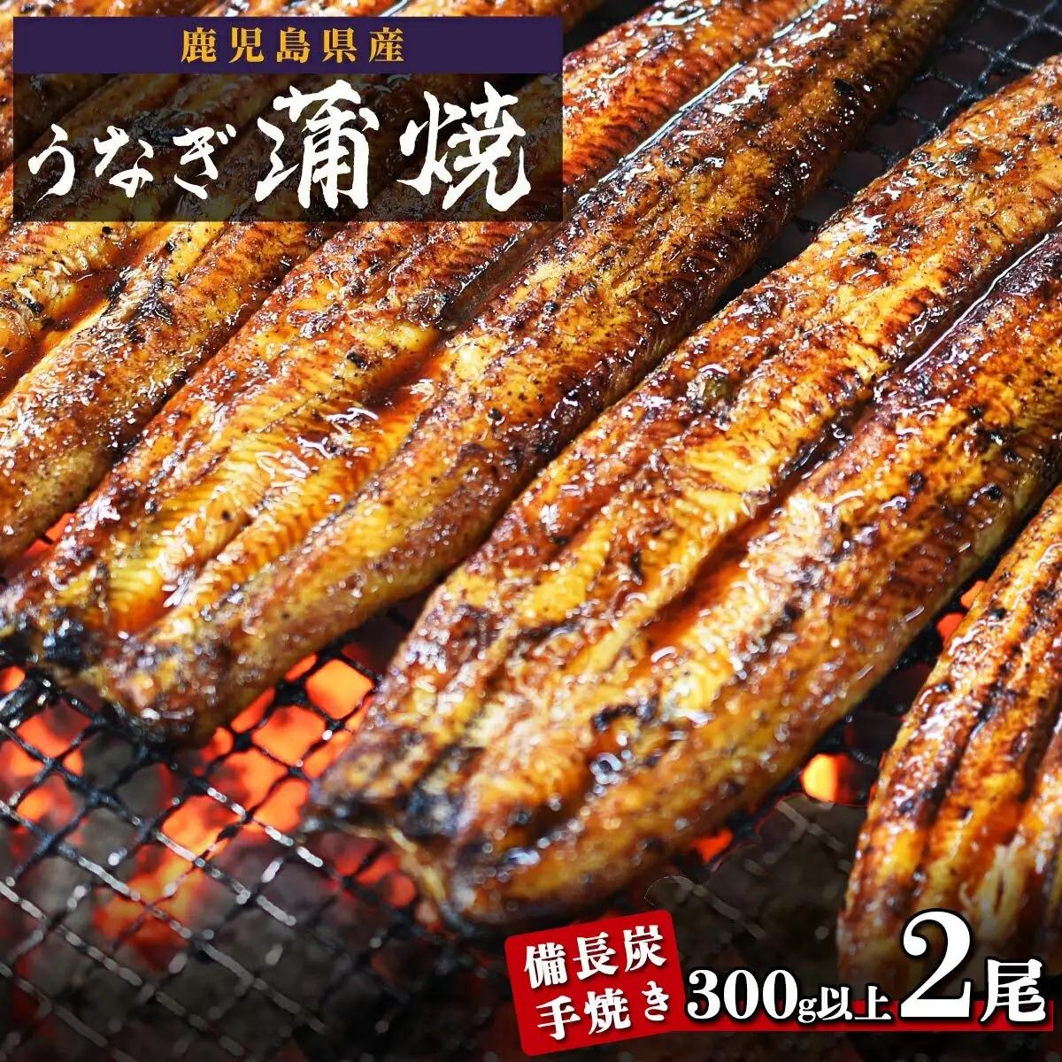 鹿児島県大隅産 うなぎ 備長炭手焼蒲焼２尾(合計300g以上）｜うなぎ