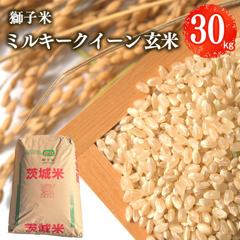 【ふるさと納税】【令和7年産】獅子米 ミルキークイーン 玄米 30kg 岡田ファーム お米 米 おこめ ブランド米 ミルキー 30キロ 国産 単一原料米 コメ こめ ご飯 銘柄米 茨城県産 茨城 産直 産地直送 農家直送 ごはん 家庭用 贈答用 お取り寄せ ギフト 送料無料 (B02-008)