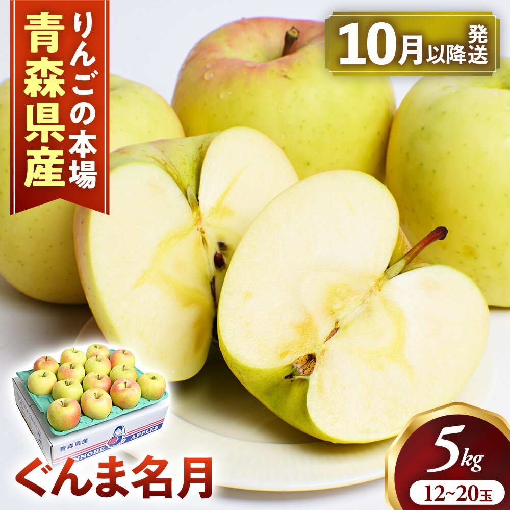 【ふるさと納税】【2026年産・先行予約】 青森りんご【ぐんま名月】約5kg（12〜20玉）★2026年10月下旬〜12月下旬頃まで発送予定★りんご 林檎 リンゴ 国産 ぐんま名月 フルーツ 果物 贈答 土産 青森県 三戸町