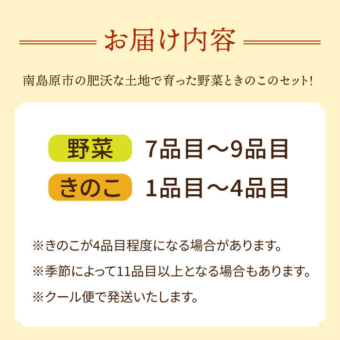  新鮮野菜・キノコ 10品目以上詰め合わせ / 野菜 やさい きのこ キノコ 詰め合わせ セット 野菜セット きのこセット / 吉岡青果 / 南島原市 [SCZ004]_イメージ2