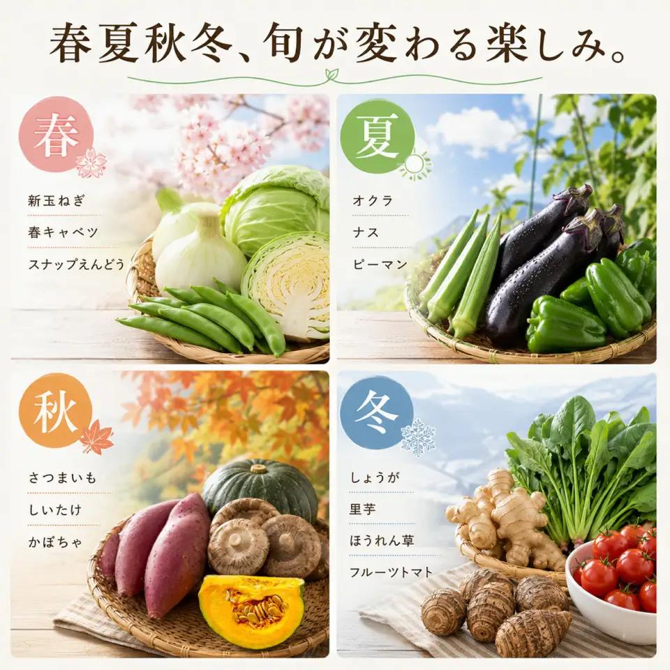【ふるさと納税】＜南国高知から直送！旬の季節のお野菜セット（7～9品）＞高知県 佐川町 野菜便 詰め合わせ 旬の時期にお届け こうち育ち【冷蔵】