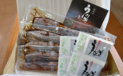 【土用の丑の日対応7/7入金まで】鹿児島県大隅産うなぎ蒲焼20尾（3kg）【国産】