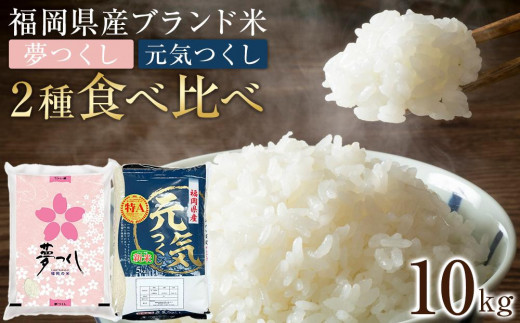
            【先行予約】＜令和7年産＞福岡県産米食べ比べ＜白米＞「夢つくし」と「元気つくし」セット　計10kg 【米 ブランド米 ブランド 白米 元気つくし 夢つくし 令和7年産 家庭用  お取り寄せ お土産 福岡県産 取り寄せ グルメ 福岡県 筑前町 CE061】
          