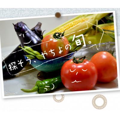 ふるさと納税 八千代市 千葉県八千代市 農産物直売所クラフト直送 旬の野菜セット |  | 01