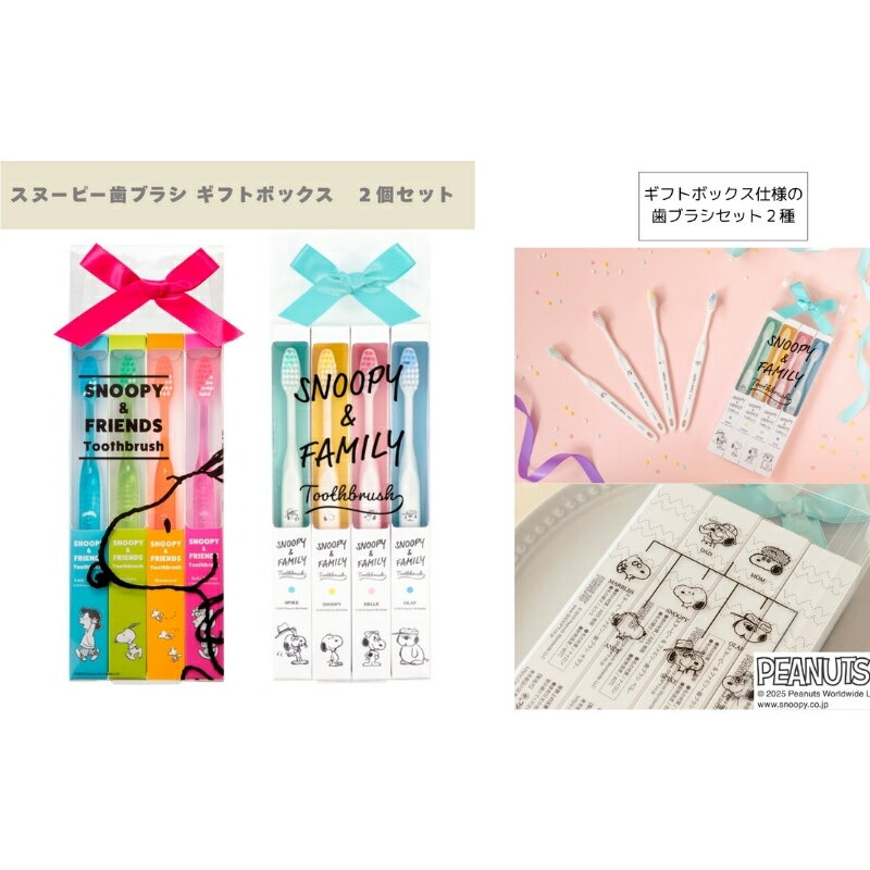 【ふるさと納税】 スヌーピー歯ブラシ ギフトボックス 2個セット