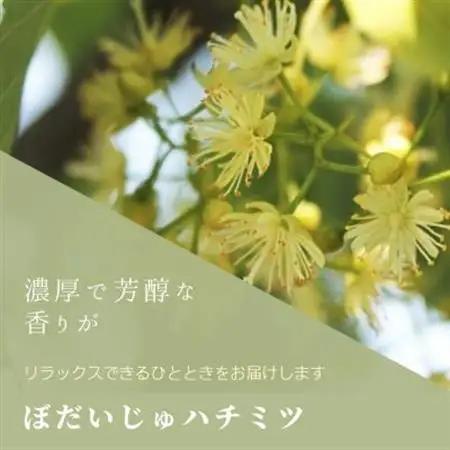 ハチミツのお酒　菩提樹のミード【クラシック】Linden Mead Classic　500ml【配送不可地域：離島・沖縄県】【1056692】