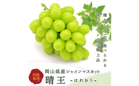 シャインマスカット【晴王】2kg 3房～5房入り【2025年8月上旬-9月下旬 発送予定】