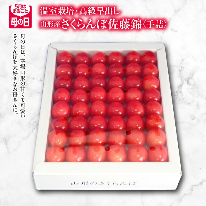 【ふるさと納税】5月はまるごと母の日 山形さくらんぼ 佐藤錦 特秀品 Lサイズ 300g 手詰 メッセージカード付 FSY-0417